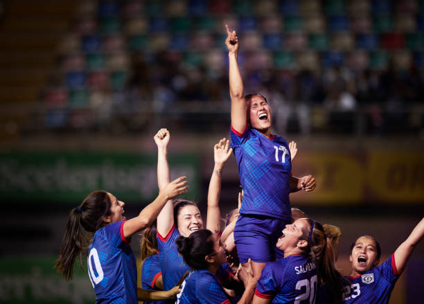 再度将目光 再度将目光